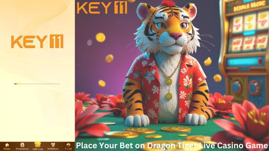 Bet on Dragon Tiger Live Casino Game