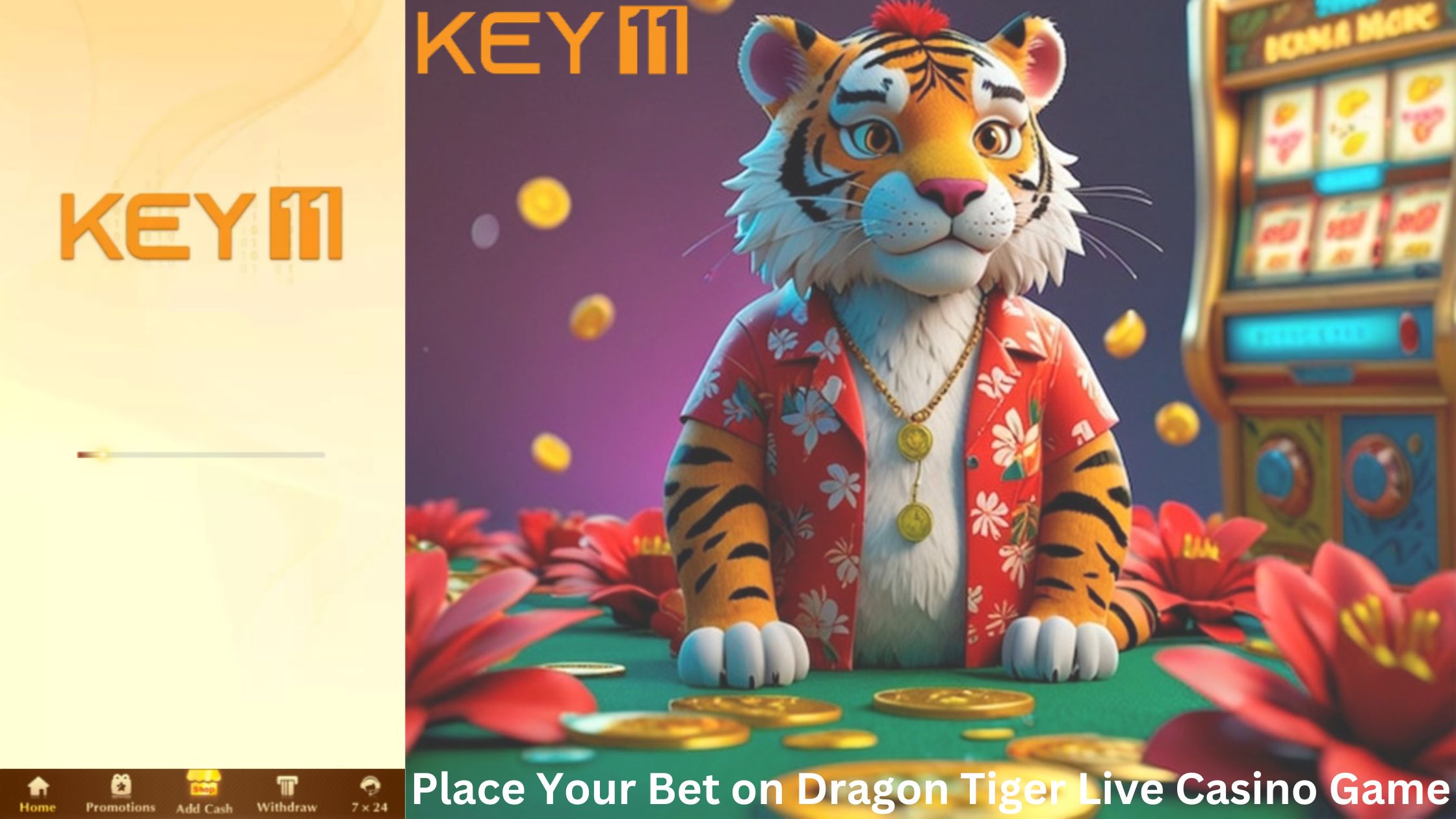 Bet on Dragon Tiger Live Casino Game